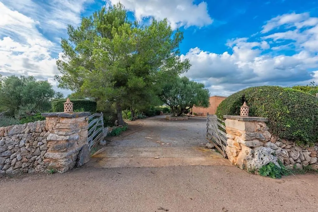 Finca Ca'N Tomeu. Сес-Салинес 0*,  Испания