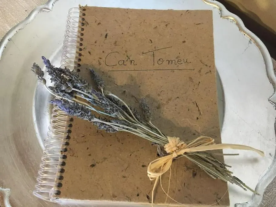 Дом отдыха Finca Ca'N Tomeu. Сес-Салинес